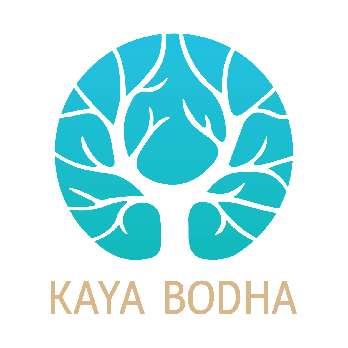 Kayabodha